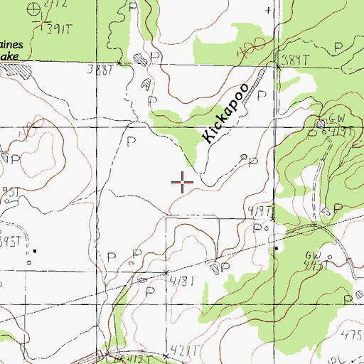 Topographic Map of Big Duncan Branch, TX