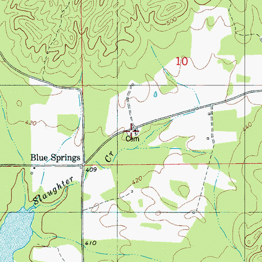 Topographic Map of Blue Springs Cemetery, AL
