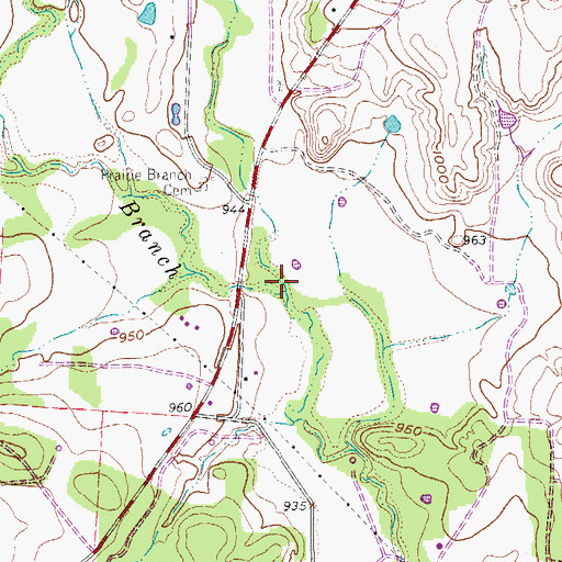 Topographic Map of East Prairie Branch, TX