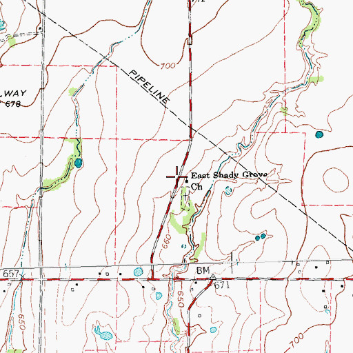 Topographic Map of East Shady Grove Church, TX