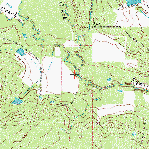 Topographic Map of East Squirrel Creek, TX