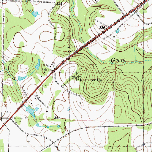 Topographic Map of Ebenezer Church, TX