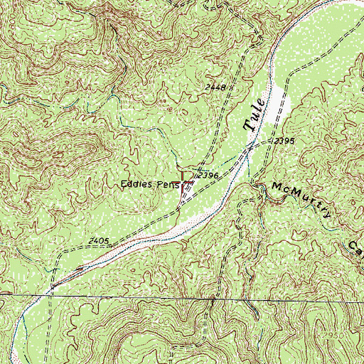 Topographic Map of Eddies Pens, TX