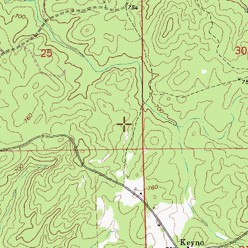 Topographic Map of Hallmans Lake, AL