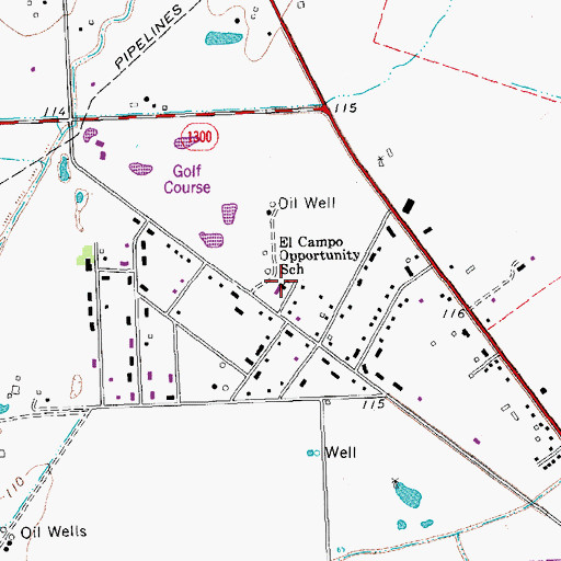 Topographic Map of El Campo Opportunity School, TX