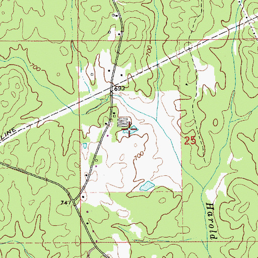 Topographic Map of Holdridge Pond, AL