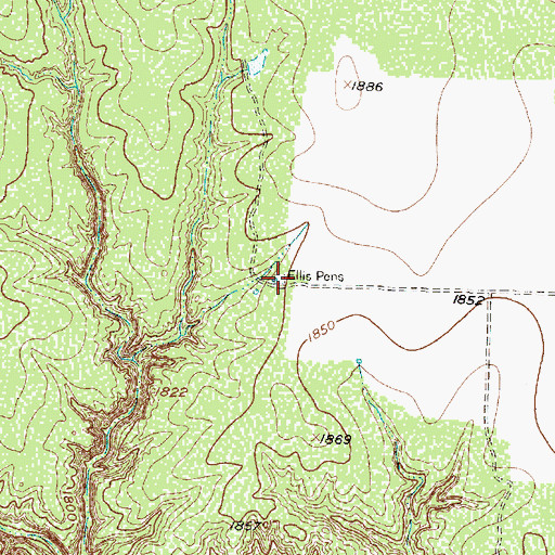 Topographic Map of Ellis Pens, TX