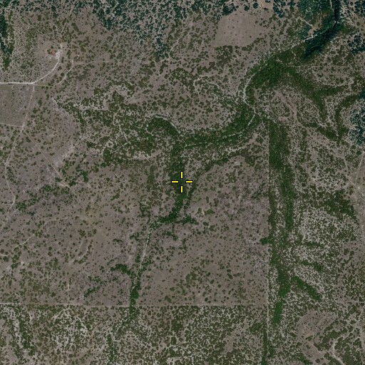 Aerial/Satellite Image of Elm Spring, TX