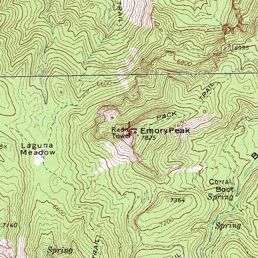 Topographic Map of Emory Peak, TX