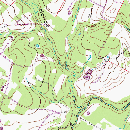 Topographic Map of Evans Hollow, TX