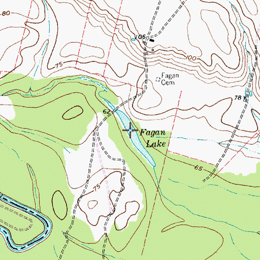 Topographic Map of Fagan Lake, TX