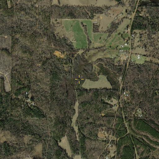 Aerial/Satellite Image of Fain Branch, TX