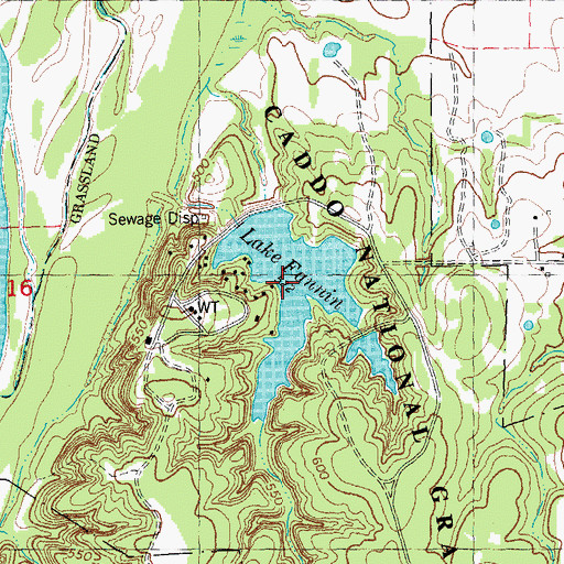 Topographic Map of Lake Fannin, TX