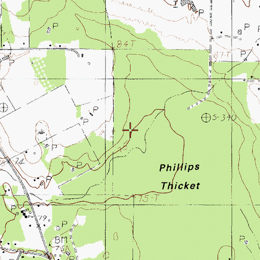 Topographic Map of Phillips Thicket, TX