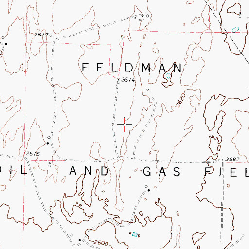 Topographic Map of Feldman Oil and Gas Field, TX