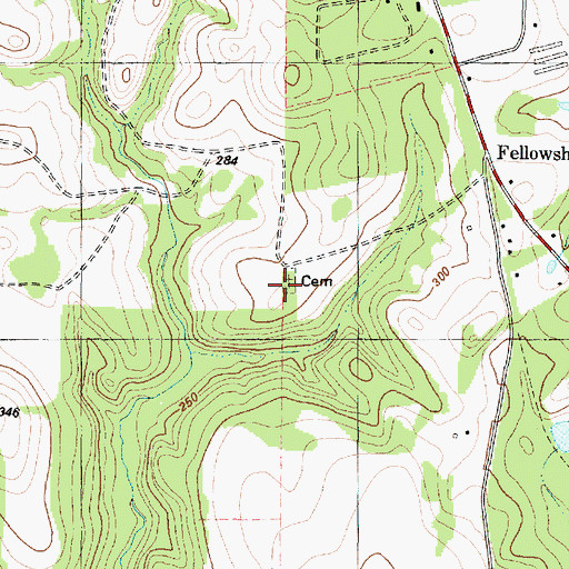 Topographic Map of Fellowview Cemetery, TX