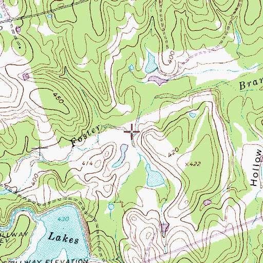 Topographic Map of Ferguson Branch, TX