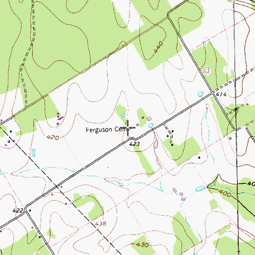 Topographic Map of Ferguson Cemetery, TX