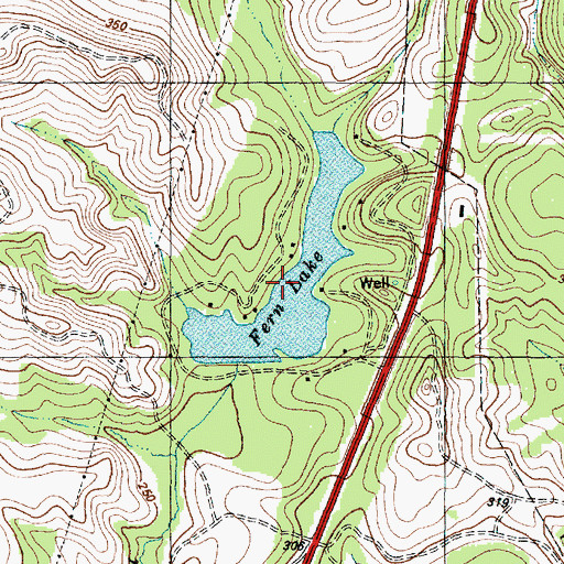 Topographic Map of Fern Lake, TX