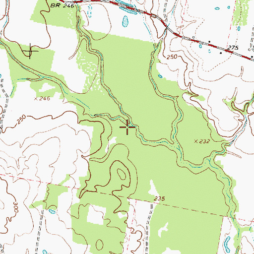 Topographic Map of Ferry Branch, TX