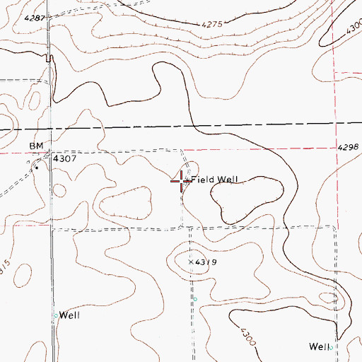 Topographic Map of Field Well, TX
