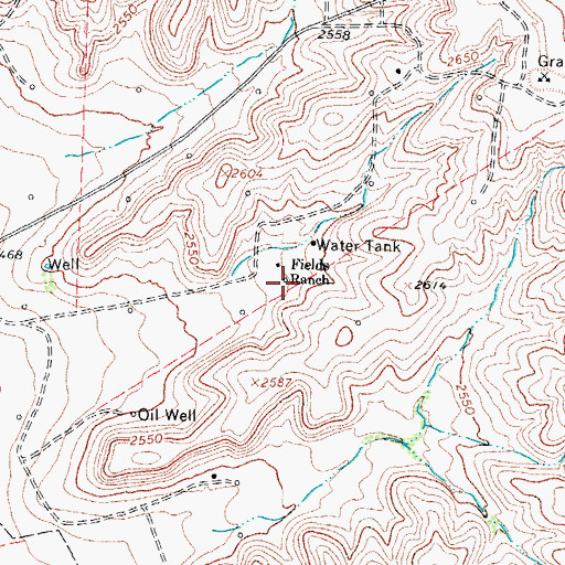 Topographic Map of Fields Ranch, TX