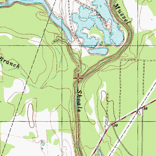 Topographic Map of Fish Branch, TX