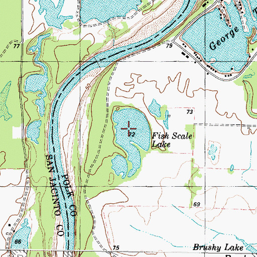 Topographic Map of Fish Scale Lake, TX