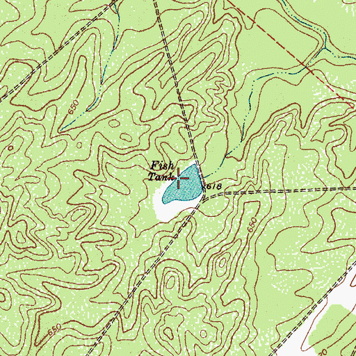 Topographic Map of Fish Tank, TX