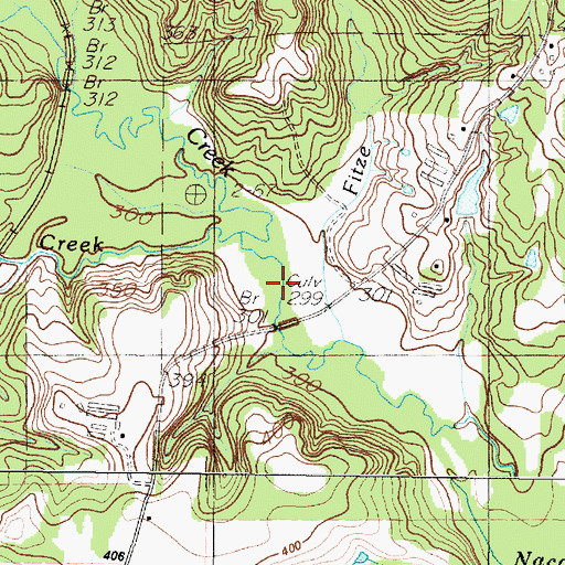 Topographic Map of Fitze Branch, TX