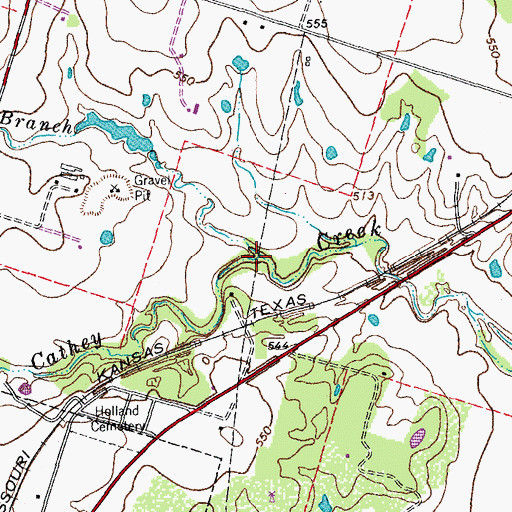Topographic Map of Flag Branch, TX