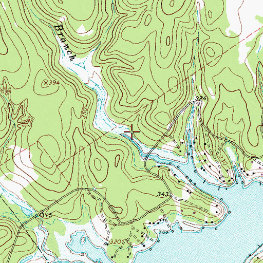 Topographic Map of Flag Branch, TX