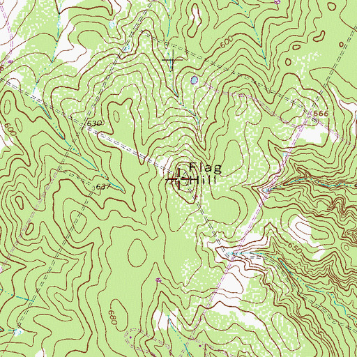 Topographic Map of Flag Hill, TX