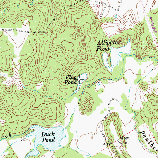 Topographic Map of Flag Pond, TX