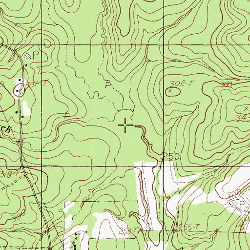 Topographic Map of Flat Branch, TX