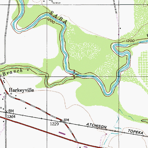 Topographic Map of Flat Branch, TX