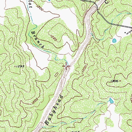 Topographic Map of Flat Branch, TX