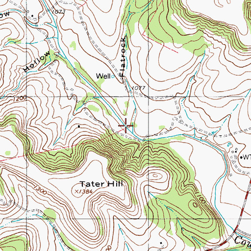 Topographic Map of Flatrock Hollow, TX