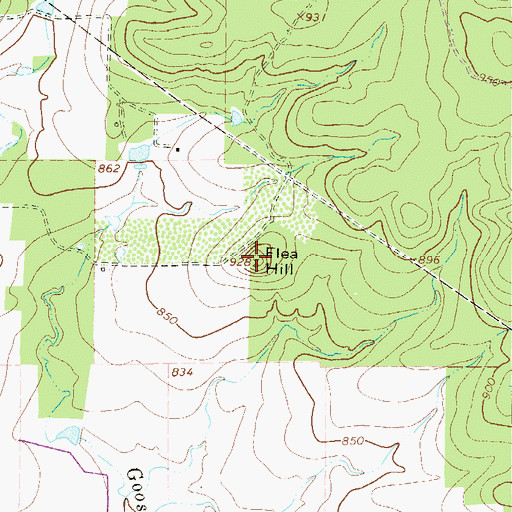 Topographic Map of Flea Hill, TX
