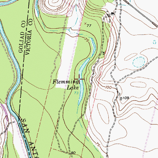 Topographic Map of Flemming Lake, TX