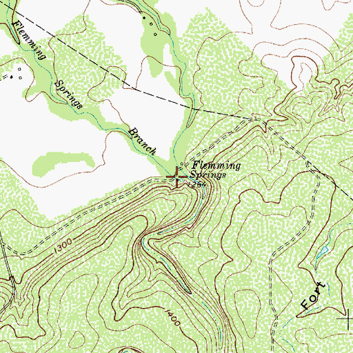 Topographic Map of Flemming Springs, TX