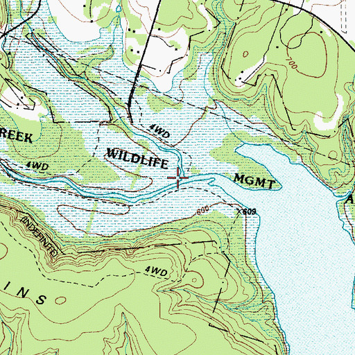 Topographic Map of Flint Creek, TX