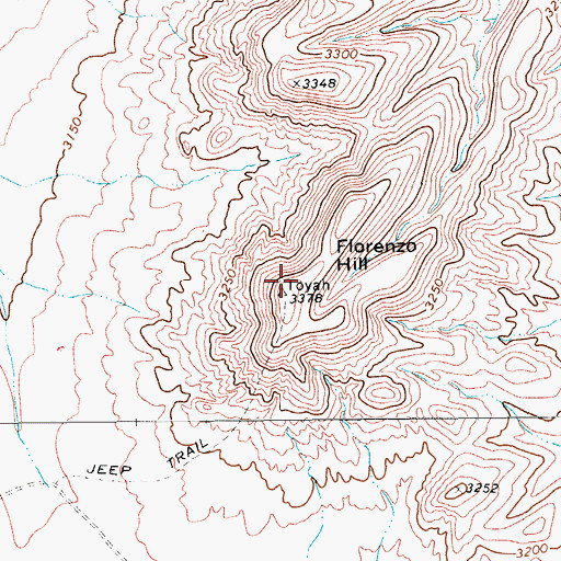 Topographic Map of Florenzo Hill, TX