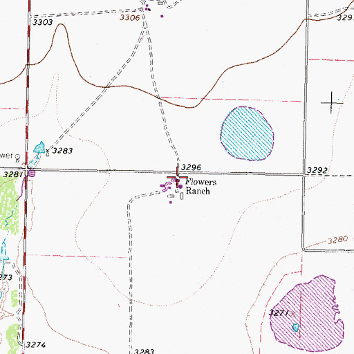 Topographic Map of Flowers Ranch, TX