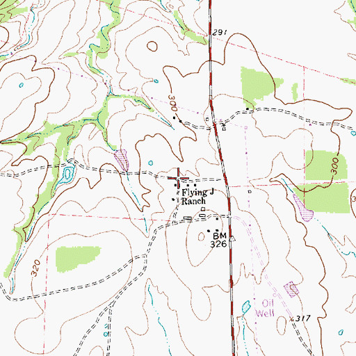 Topographic Map of Flying J Ranch, TX