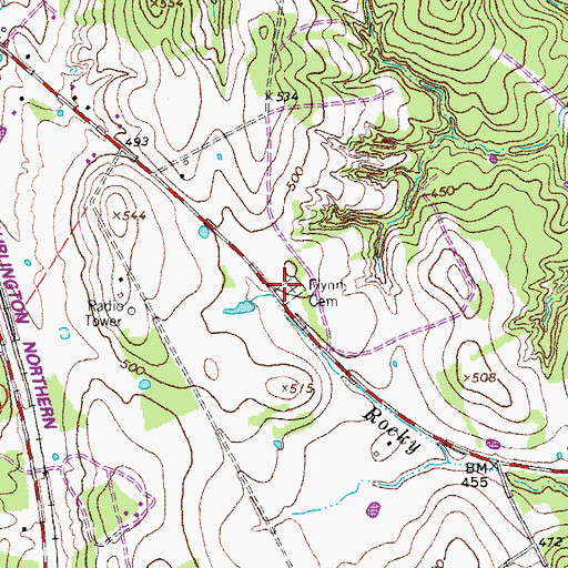 Topographic Map of Flynn Cemetery, TX