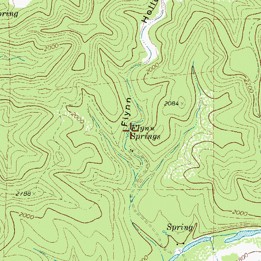 Topographic Map of Flynn Springs, TX
