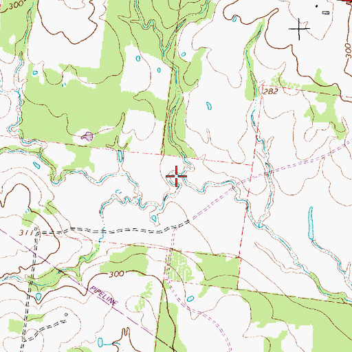 Topographic Map of Foards Branch, TX