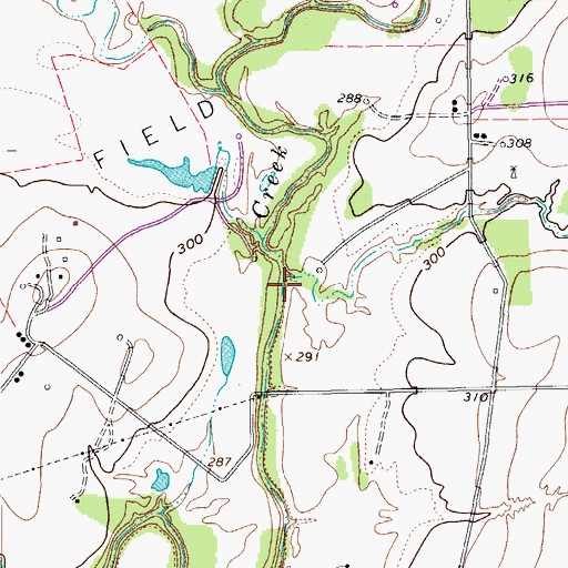Topographic Map of Ford Hollow, TX