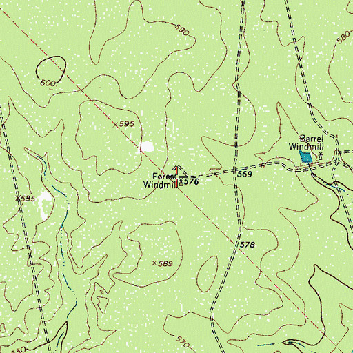 Topographic Map of Forest Windmill, TX